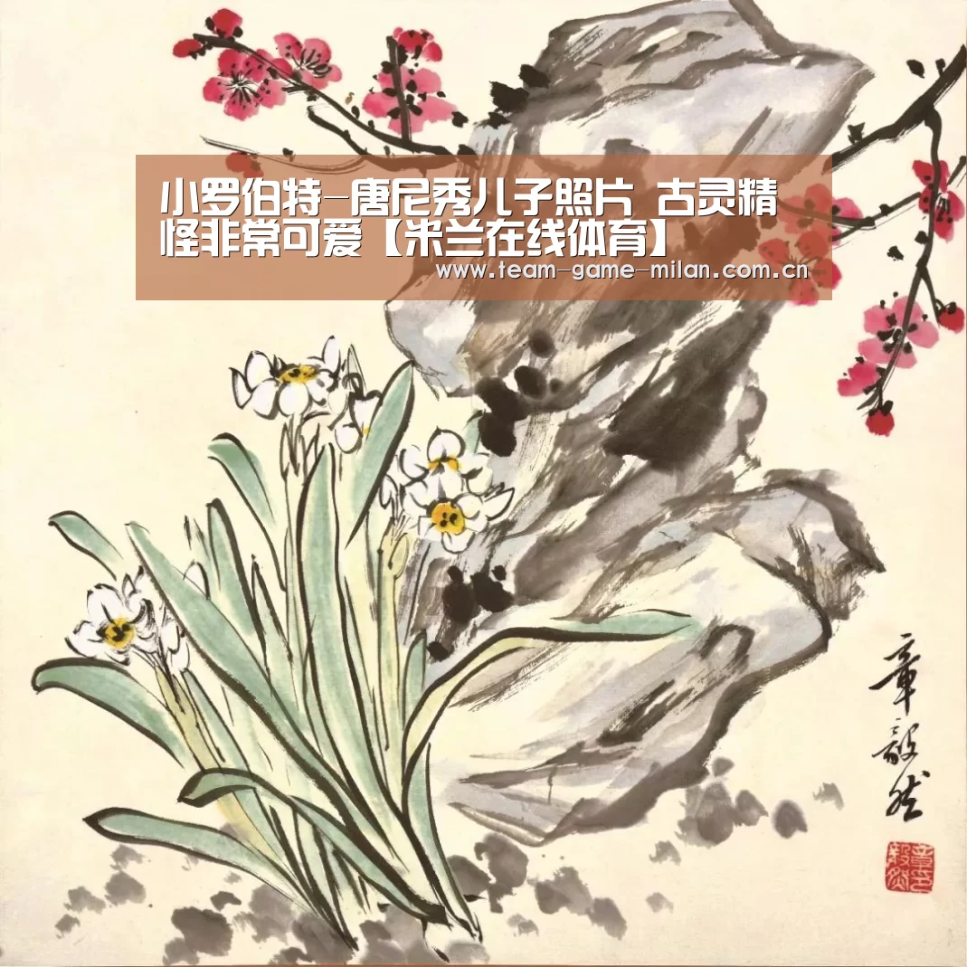 国际米兰中文官网